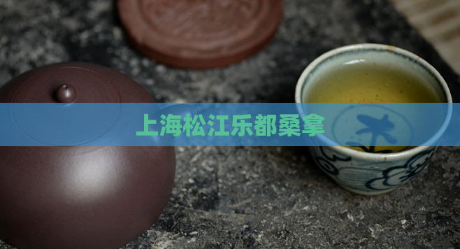 上海松江乐都桑拿  第1张