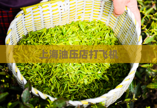 上海油压店打飞机  第1张