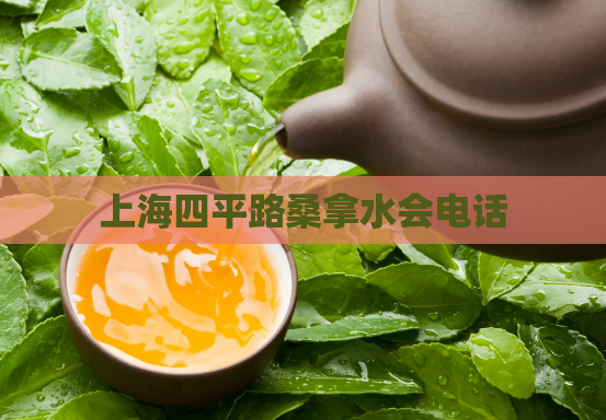 上海四平路桑拿水会电话  第1张