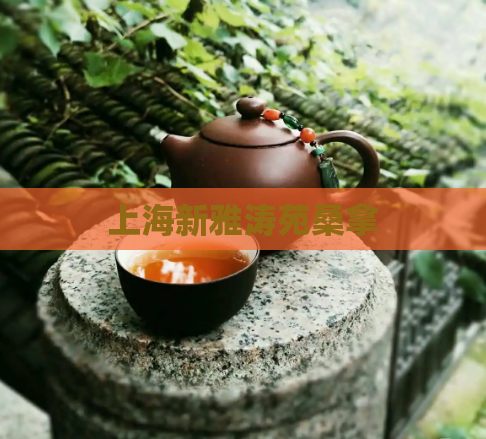 上海新雅涛苑桑拿  第1张