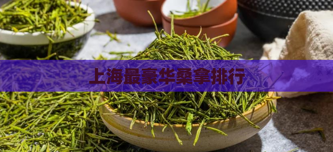 上海最豪华桑拿排行 第1张 上海最豪华桑拿排行 第1张