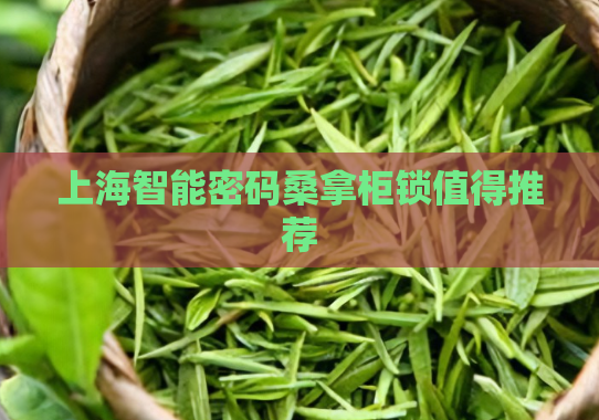 上海智能密码桑拿柜锁值得推荐  第1张