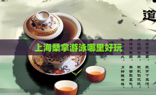 上海桑拿游泳哪里好玩  第1张