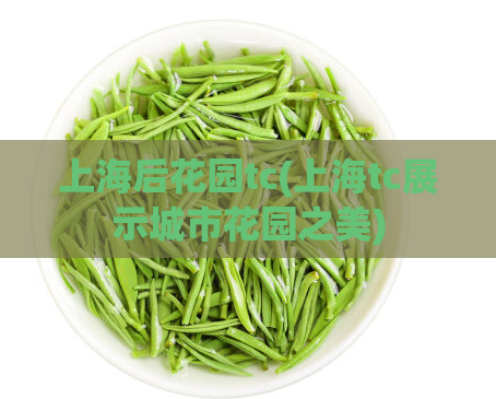 上海后花园tc(上海tc展示城市花园之美)  第1张