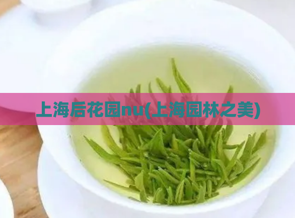 上海后花园nu(上海园林之美) 第1张 上海后花园nu(上海园林之美) 第1张