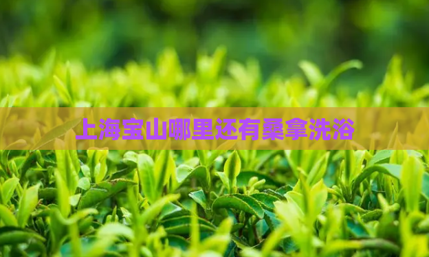 上海宝山哪里还有桑拿洗浴  第1张