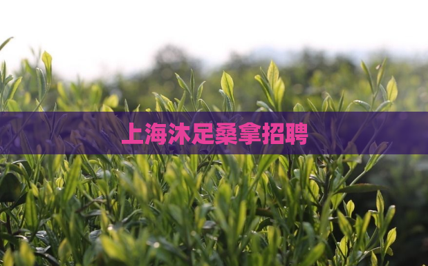 上海沐足桑拿招聘 第1张 上海沐足桑拿招聘 第1张