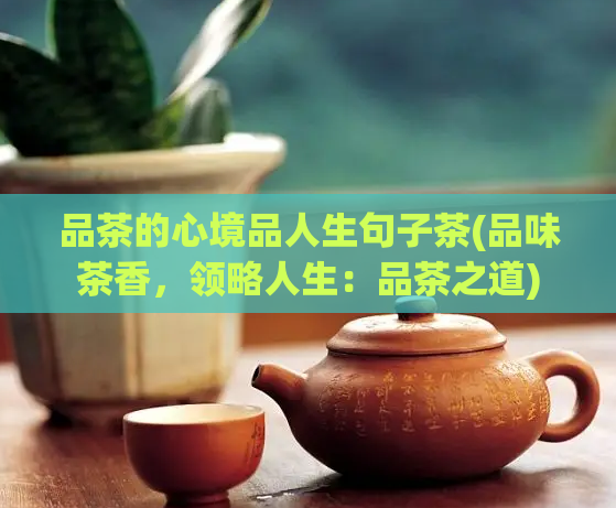 品茶的心境品人生句子茶(品味茶香，领略人生：品茶之道)  第1张