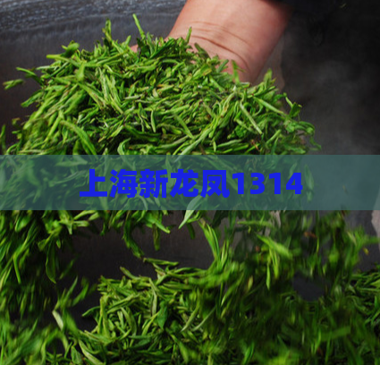 上海新龙凤1314 第1张 上海新龙凤1314 第1张