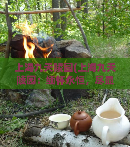 上海九天陵园(上海九天陵园:缅怀永恒,尽显人生价值) 第1张 上海九天陵园(上海九天陵园:缅怀永恒,尽显人生价值) 第1张