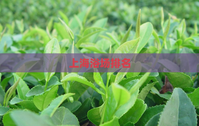 上海浴场排名 第1张 上海浴场排名 第1张