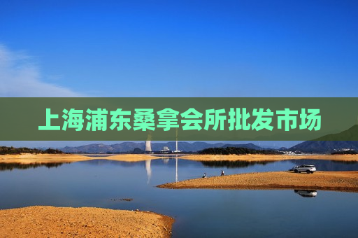 上海浦东桑拿会所批发市场 第1张 上海浦东桑拿会所批发市场 第1张