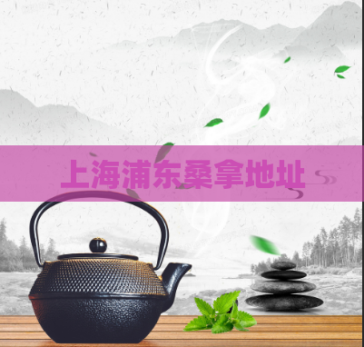 上海浦东桑拿地址  第1张