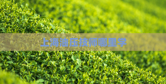 上海油压技师哪里学  第1张