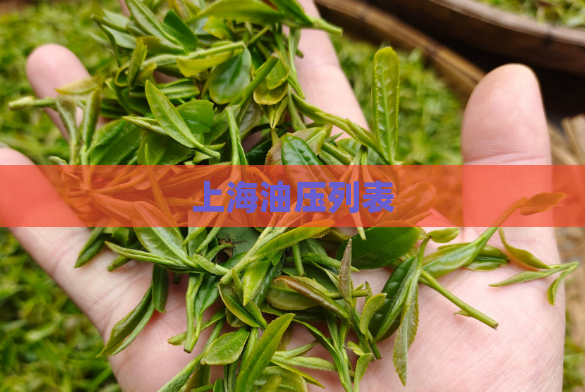 上海油压列表  第1张