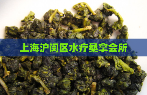 上海沪闵区水疗桑拿会所  第1张