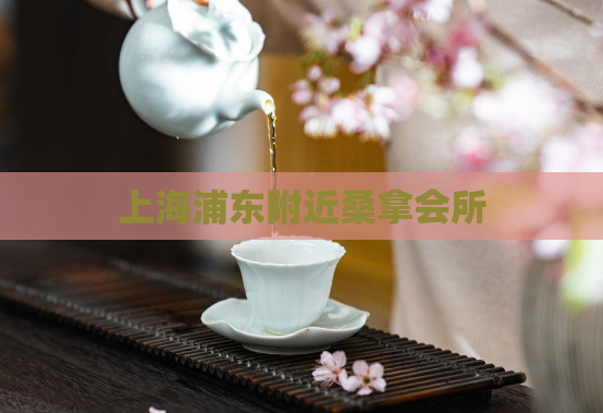 上海浦东附近桑拿会所 第1张 上海浦东附近桑拿会所 第1张