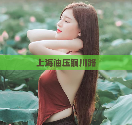 上海油压铜川路 第1张 上海油压铜川路 第1张
