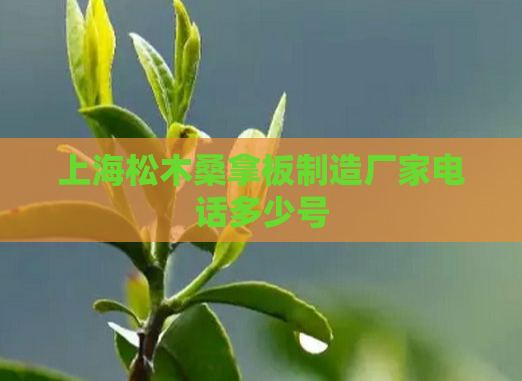 上海松木桑拿板制造厂家电话多少号  第1张