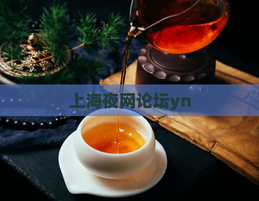 上海夜网论坛yn  第1张