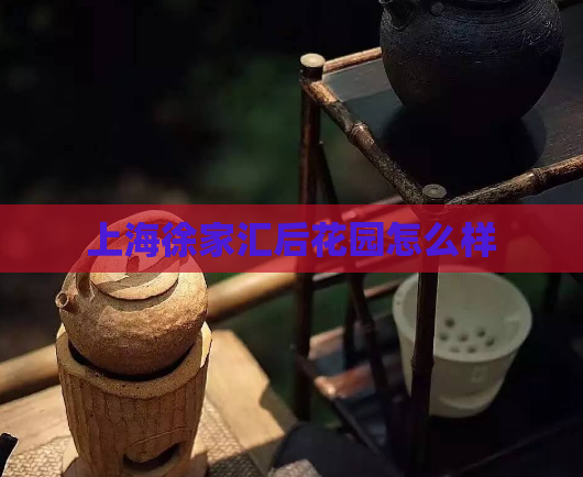 上海徐家汇后花园怎么样  第1张