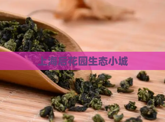 上海后花园生态小城  第1张