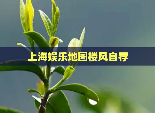 上海娱乐地图楼风自荐  第1张