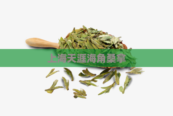 上海天涯海角桑拿  第1张