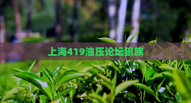 上海419油压论坛狼族 第1张 上海419油压论坛狼族 第1张