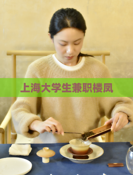 上海大学生兼职楼凤 第1张 上海大学生兼职楼凤 第1张