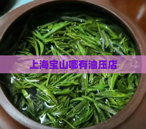 上海宝山哪有油压店 第1张 上海宝山哪有油压店 第1张