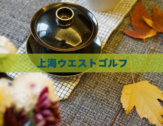 上海ウエストゴルフ 第1张 上海ウエストゴルフ 第1张
