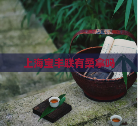 上海宝丰联有桑拿吗 第1张 上海宝丰联有桑拿吗 第1张