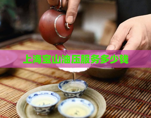 上海宝山油压服务多少钱 第1张 上海宝山油压服务多少钱 第1张