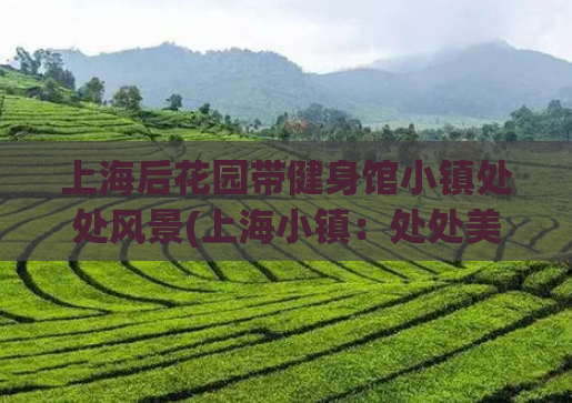 上海后花园带健身馆小镇处处风景(上海小镇:处处美景,健身馆同在) 第1张 上海后花园带健身馆小镇处处风景(上海小镇:处处美景,健身馆同在) 第1张