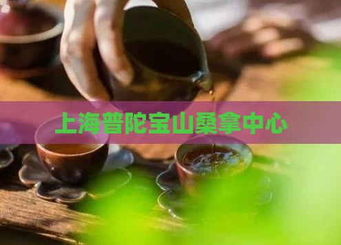 上海普陀宝山桑拿中心  第1张