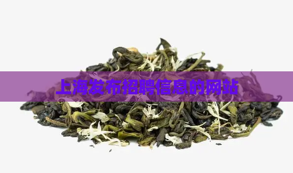 上海发布招聘信息的网站  第1张
