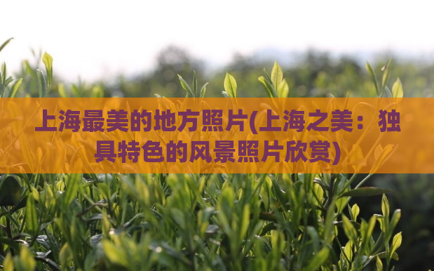 上海最美的地方照片(上海之美:独具特色的风景照片欣赏) 第1张 上海最美的地方照片(上海之美:独具特色的风景照片欣赏) 第1张