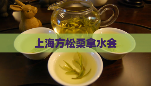 上海方松桑拿水会  第1张