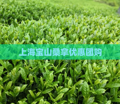 上海宝山桑拿优惠团购  第1张