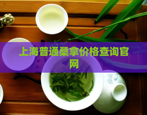 上海普通桑拿价格查询官网  第1张