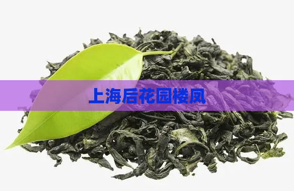 上海后花园楼凤 第1张 上海后花园楼凤 第1张