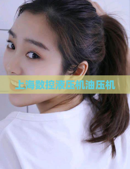 上海数控液压机油压机 第1张 上海数控液压机油压机 第1张