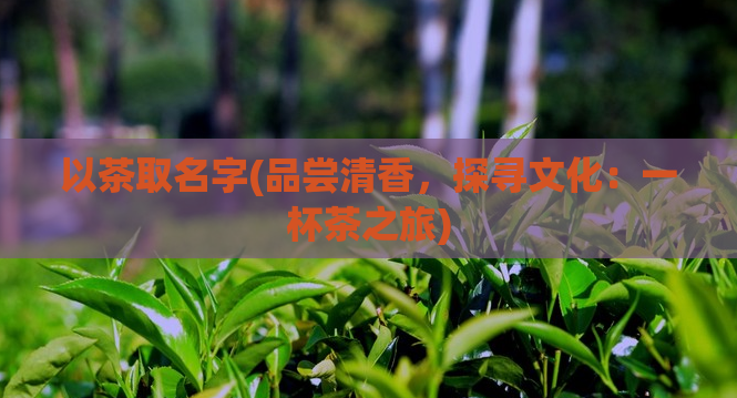 以茶取名字(品尝清香，探寻文化：一杯茶之旅)  第1张