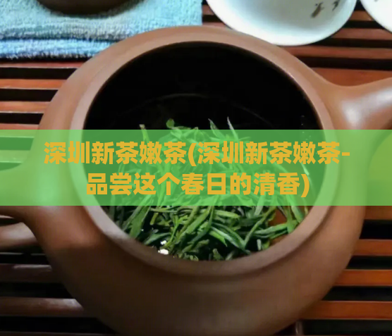 深圳新茶嫩茶(深圳新茶嫩茶-品尝这个春日的清香)  第1张