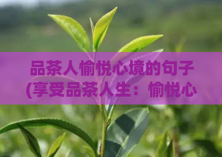 品茶人愉悦心境的句子(享受品茶人生：愉悦心境の秘诀 revealed)  第1张