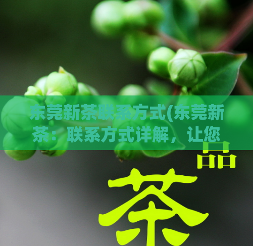 东莞新茶联系方式(东莞新茶：联系方式详解，让您轻松采购)  第1张