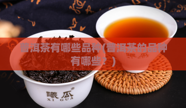 普洱茶有哪些品种(普洱茶的品种有哪些？)  第1张