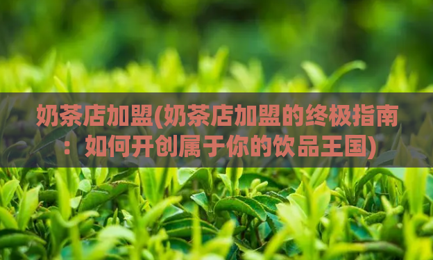 奶茶店加盟(奶茶店加盟的终极指南：如何开创属于你的饮品王国)  第1张