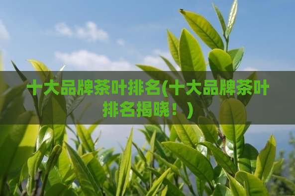 十大品牌茶叶排名(十大品牌茶叶排名揭晓！)  第1张